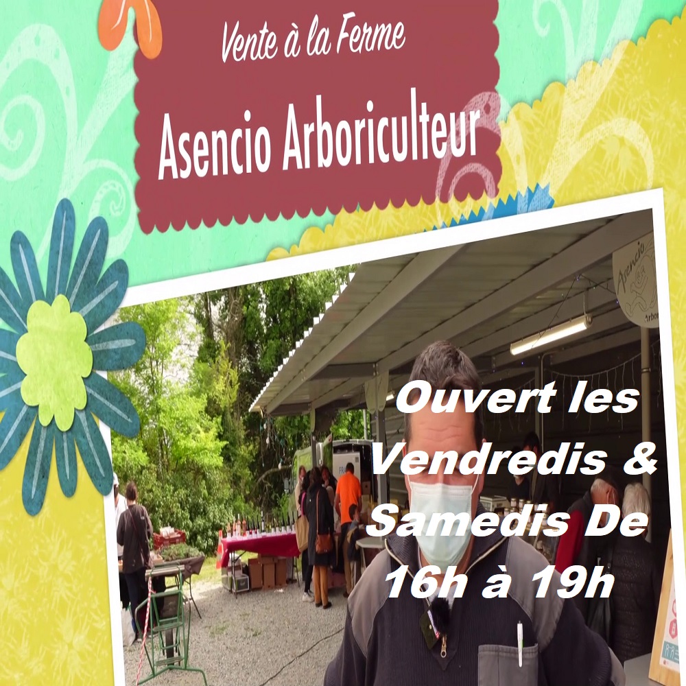 Asencia Arboriculteur